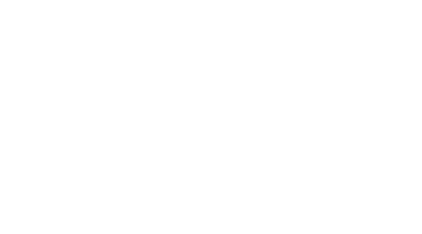 내손안의약국